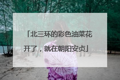 北三环的彩色油菜花开了，就在朝阳安贞