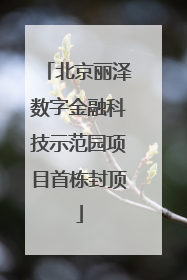北京丽泽数字金融科技示范园项目首栋封顶