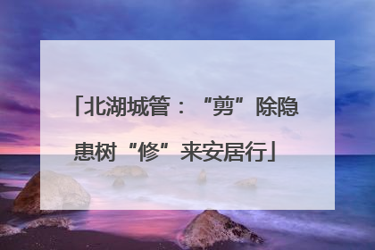 北湖城管：“剪”除隐患树“修”来安居行