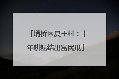 埇桥区夏王村：十年耕耘结出富民瓜