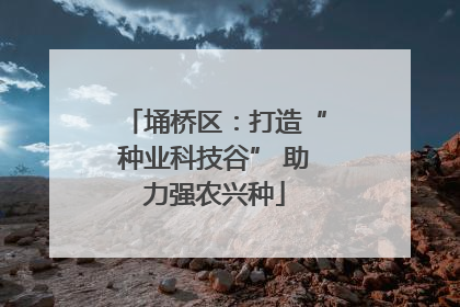 埇桥区：打造“种业科技谷” 助力强农兴种