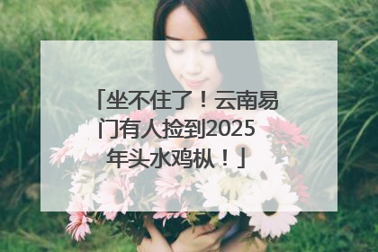 坐不住了！云南易门有人捡到2025年头水鸡枞！