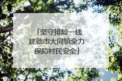 坚守排险一线 建德市大同镇全力保障村民安全