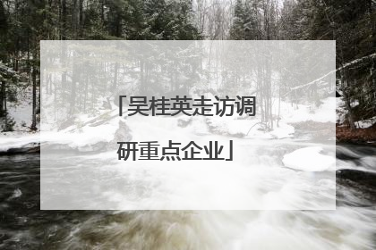 吴桂英走访调研重点企业