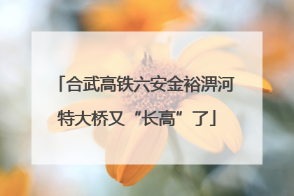 合武高铁六安金裕淠河特大桥又“长高”了