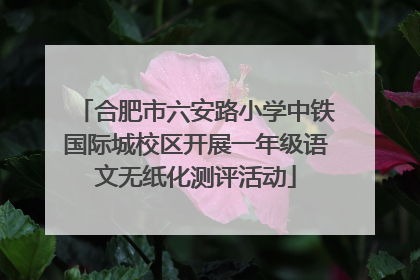 合肥市六安路小学中铁国际城校区开展一年级语文无纸化测评活动