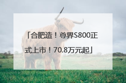 合肥造！尊界S800正式上市！70.8万元起