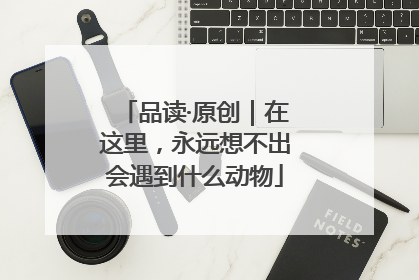 品读·原创｜在这里，永远想不出会遇到什么动物
