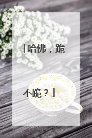 哈佛，跪不跪？