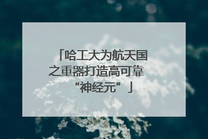 哈工大为航天国之重器打造高可靠“神经元”