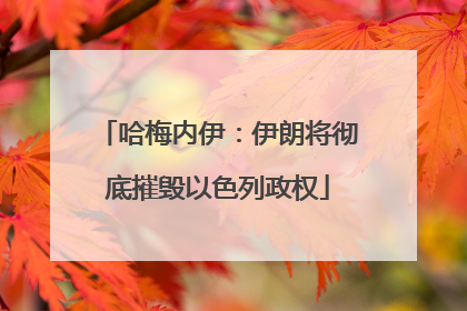 哈梅内伊：伊朗将彻底摧毁以色列政权
