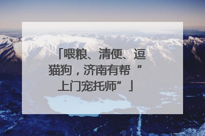 喂粮、清便、逗猫狗，济南有帮“上门宠托师”