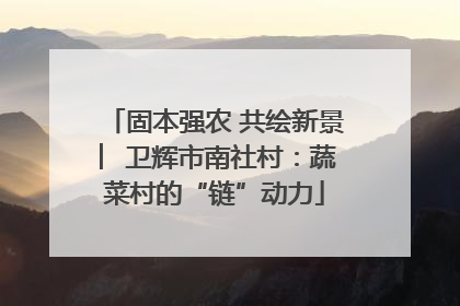 固本强农 共绘新景 ︳卫辉市南社村：蔬菜村的“链”动力