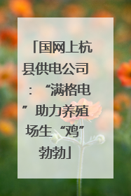 国网上杭县供电公司：“满格电”助力养殖场生“鸡”勃勃