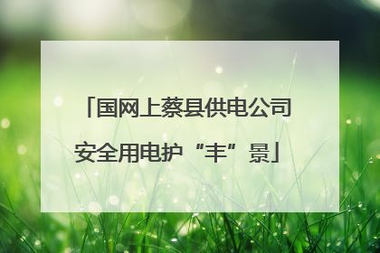 国网上蔡县供电公司安全用电护“丰”景