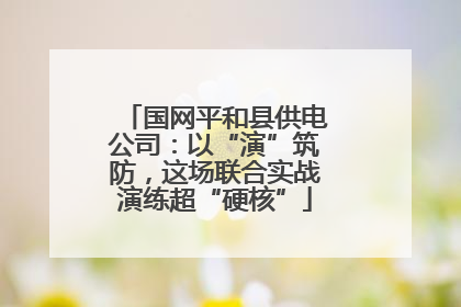 国网平和县供电公司：以“演”筑防，这场联合实战演练超“硬核”