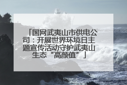 国网武夷山市供电公司：开展世界环境日主题宣传活动守护武夷山生态“高颜值”