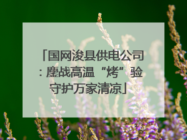 国网浚县供电公司：鏖战高温“烤”验 守护万家清凉