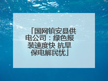国网镇安县供电公司：绿色报装速度快 抗旱保电解民忧