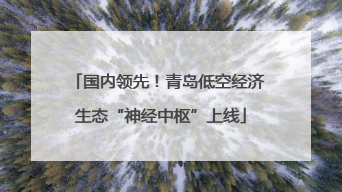 国内领先！青岛低空经济生态“神经中枢”上线