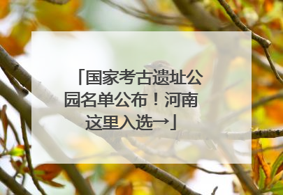 国家考古遗址公园名单公布！河南这里入选→