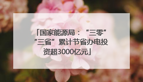 国家能源局：“三零”“三省”累计节省办电投资超3000亿元