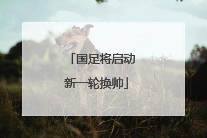 国足将启动新一轮换帅