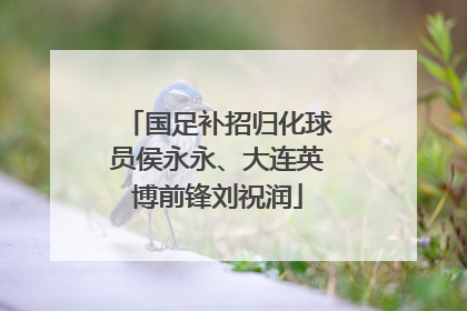国足补招归化球员侯永永、大连英博前锋刘祝润