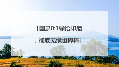 国足0:1输给印尼，彻底无缘世界杯