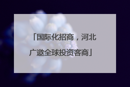 国际化招商，河北广邀全球投资客商