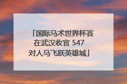 国际马术世界杯赛在武汉收官 547对人马飞跃英雄城