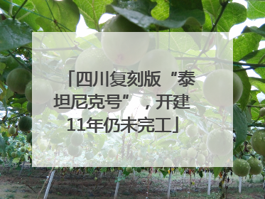 四川复刻版“泰坦尼克号”，开建11年仍未完工