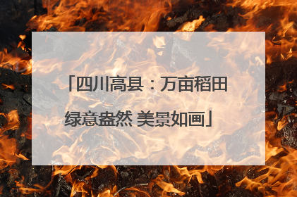 四川高县：万亩稻田绿意盎然 美景如画