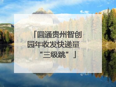 圆通贵州智创园年收发快递量“三级跳”