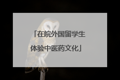 在皖外国留学生体验中医药文化