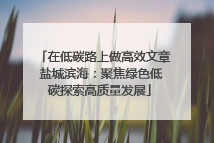在低碳路上做高效文章 盐城滨海：聚焦绿色低碳探索高质量发展