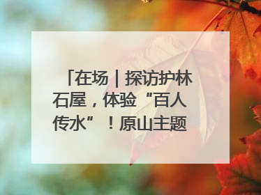 在场｜探访护林石屋，体验“百人传水”！原山主题党日活动“走新”更“走心”