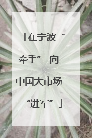 在宁波“牵手” 向中国大市场“进军”