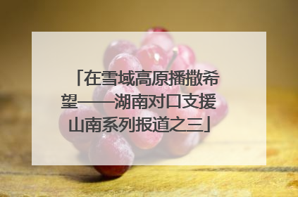在雪域高原播撒希望——湖南对口支援山南系列报道之三