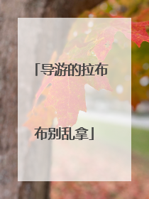 导游的拉布布别乱拿