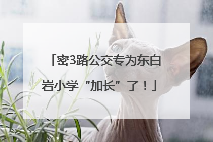 密3路公交专为东白岩小学“加长”了！