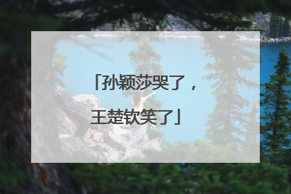 孙颖莎哭了，王楚钦笑了
