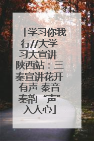 学习你我行//大学习大宣讲 陕西站：三秦宣讲花开有声 秦音秦韵“声”入人心
