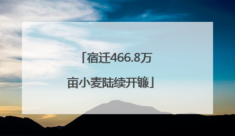 宿迁466.8万亩小麦陆续开镰