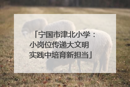 宁国市津北小学：小岗位传递大文明 实践中培育新担当