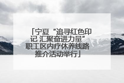 宁夏“追寻红色印记 汇聚奋进力量”职工区内疗休养线路推介活动举行