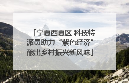 宁夏西夏区 科技特派员助力“紫色经济”酿出乡村振兴新风味
