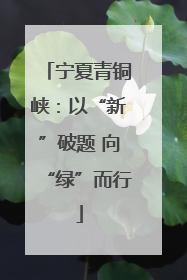 宁夏青铜峡：以“新”破题 向“绿”而行