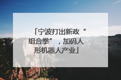 宁波打出新政“组合拳”，加码人形机器人产业