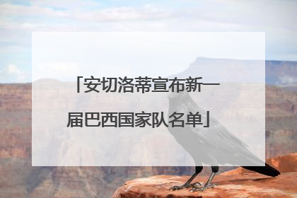安切洛蒂宣布新一届巴西国家队名单